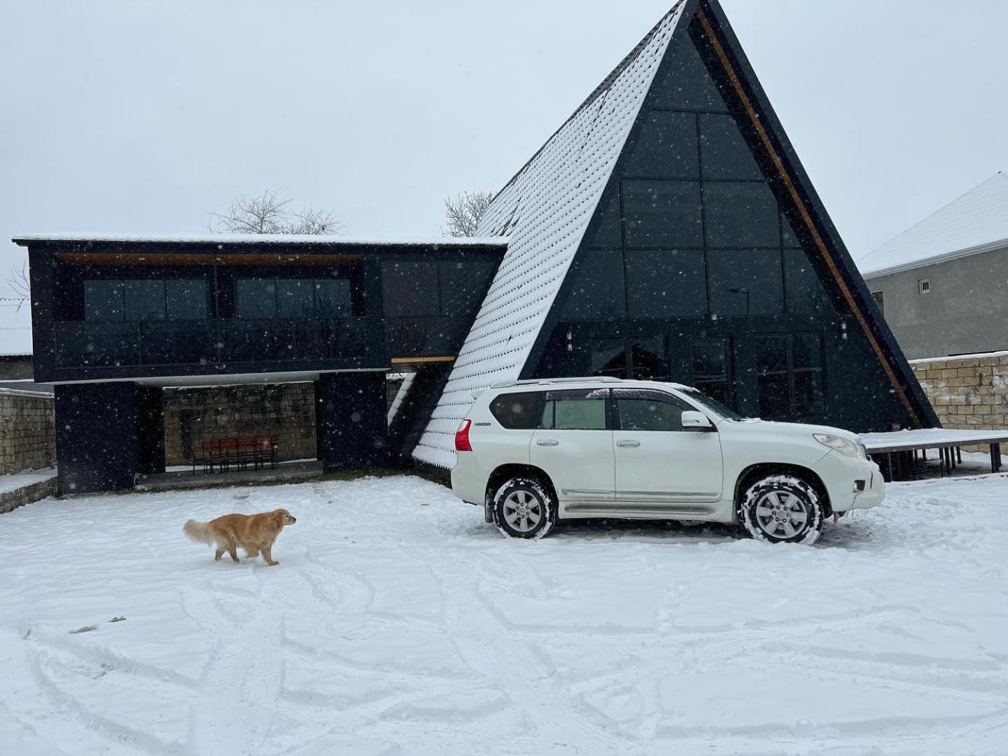 Qafqaz Wood Chalet Габала Экстерьер фото